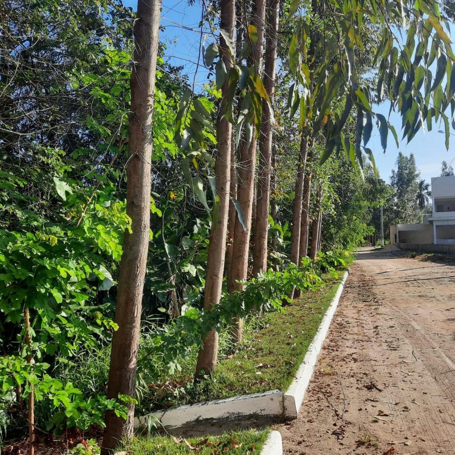Viva! 1 Casa Nova Em Condominio Entre Maragogi E Carneiros São José da Coroa Grande Kültér fotó